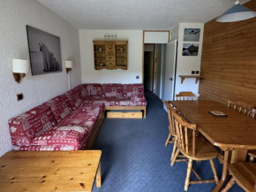 Appartement confortable accès direct pistes animaux admis parking Belle Plagne - FR-1-181-2363